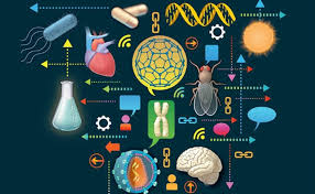 Ciencia